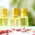 Everything You Need to Know About Travel Size Perfumes